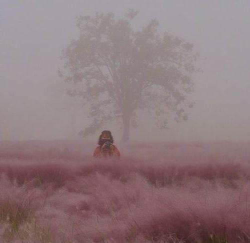 Angel Bista in a foggy field with a tree in the background